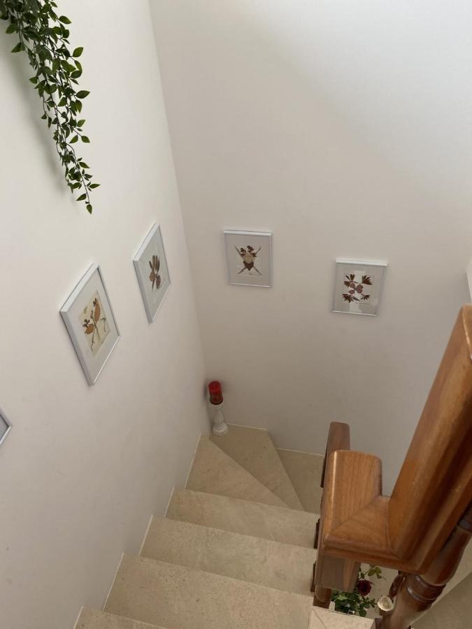 Casa Da Avo Fatima Apartment Gois Exterior photo
